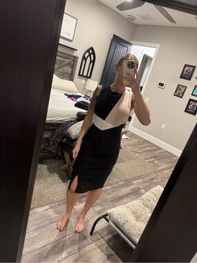 White House Black Market Black, Blush & Ivory Colorblock Sheath Dress size 4
